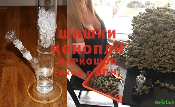 гидра Алексин