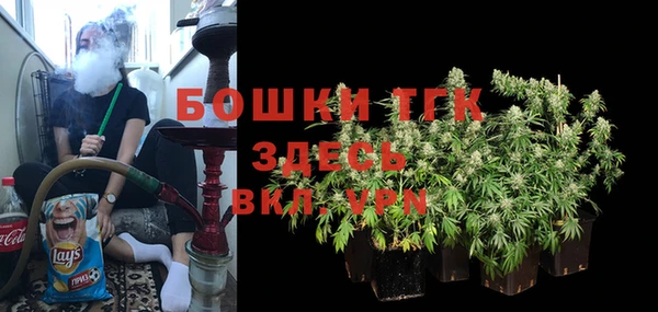 гидра Алексин