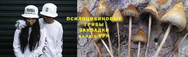 а пвп мука Алзамай