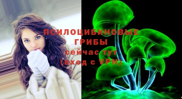а пвп мука Алзамай